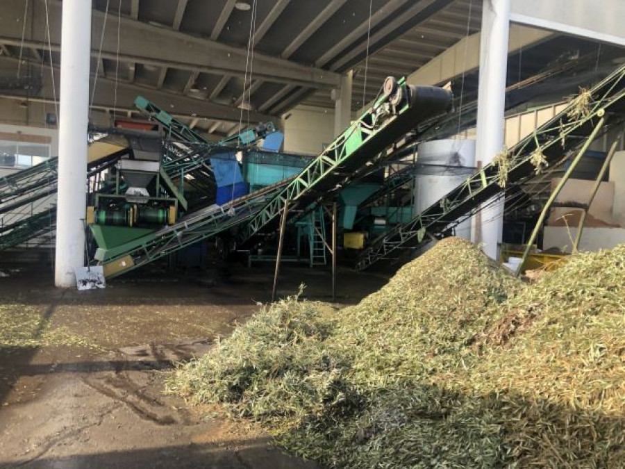 Compost biomasa olivo gmn covid19 oleo
