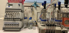 Laboratorio levadura uja bioetanol oleo 5339