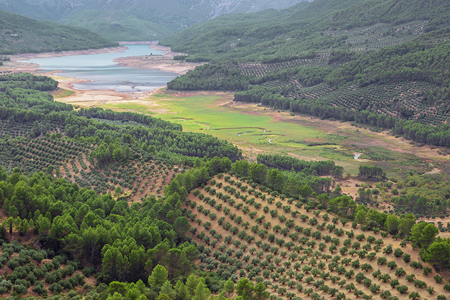 Agua optimizacion recuros andalucia oleo 5326