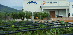 Coselva fusion castellvell del camp oleo 5319