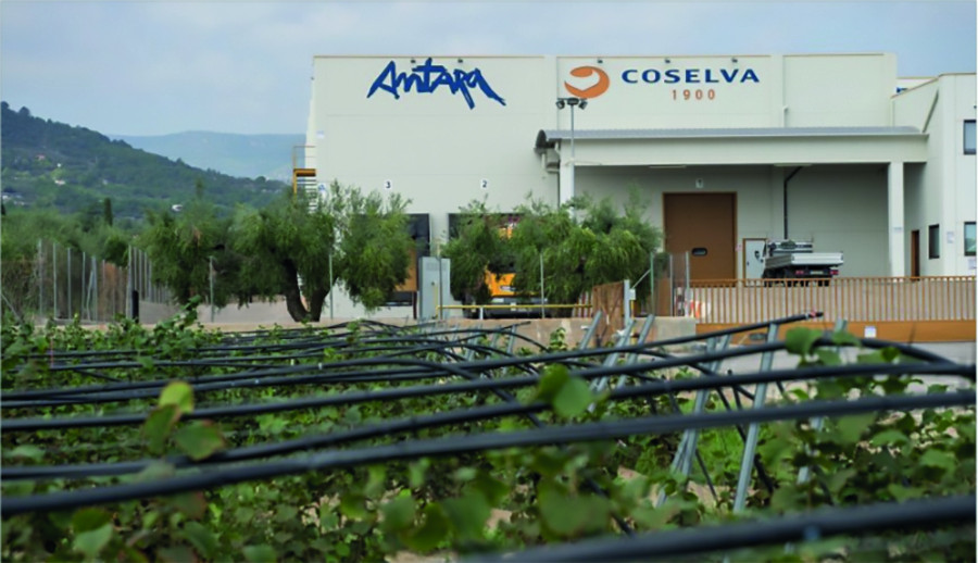 Coselva fusion castellvell del camp oleo 5319