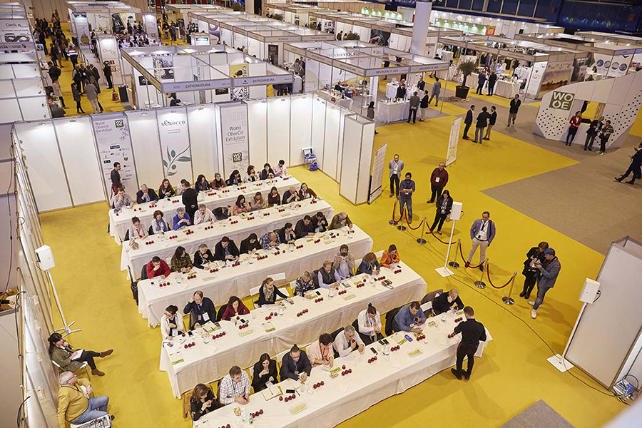 Wooe2019 sala catas oleo 5319