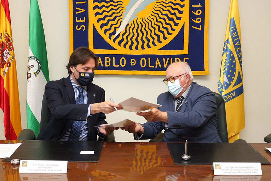 Conve cregulador aceituna oleo 5305