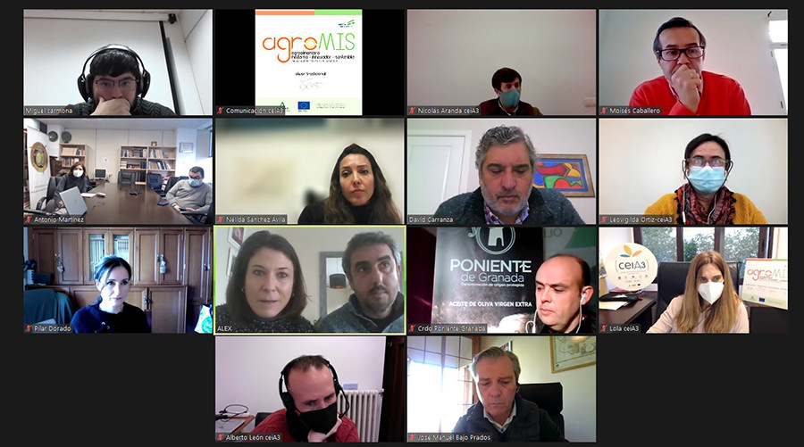 Ceia3 proyecto agromis oleo 5296