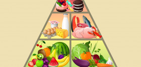Dieta med estudio uoc oleo 5298