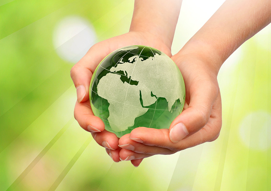 Pe pacto verde europa oleo 5249