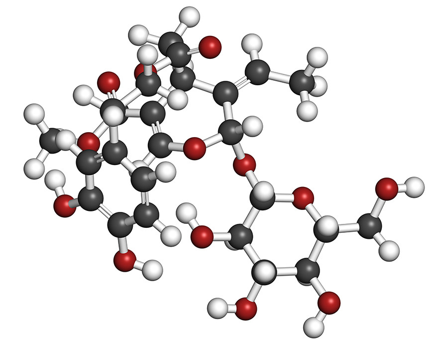 Oleopeurina estudio oleo 5241
