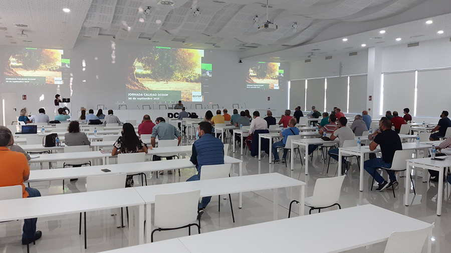 Dcoop calidad formacion oleo 5213