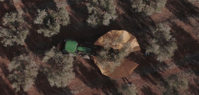 Finca lapontezuela aove oleo 5216