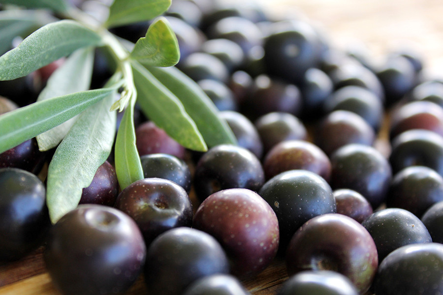 Asemesa aranceles aceituna negra oleo 5195