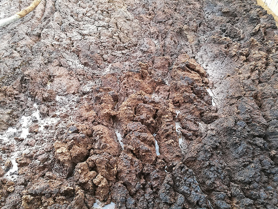 Alperujo mora proyecto bioento oleo 5180