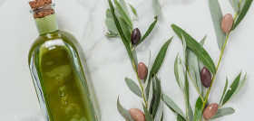 Genoma aceituna olivo china oleo 5164