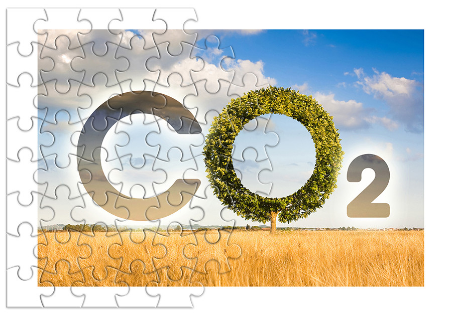 Tribunal cuentas eu co2 pac oleo 5163