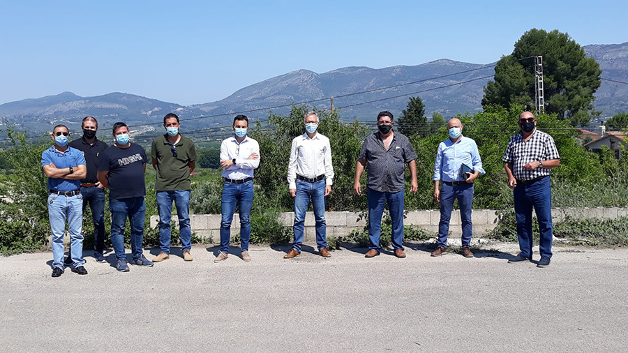 Proyecto piloto taberna xylella valencia regadio oleo 5159