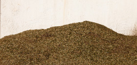 Diverfarming hojas olivo setacor oleo 5152