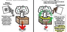 Infografia roberto nitrogeno 184 oleo 5127