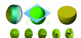 Molestado aceituna agrodem oleo 5110