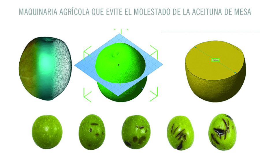 Molestado aceituna agrodem oleo 5110