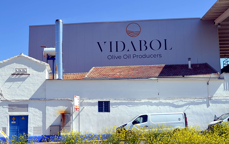 Vidabol bolanos aniversario oleo 5099