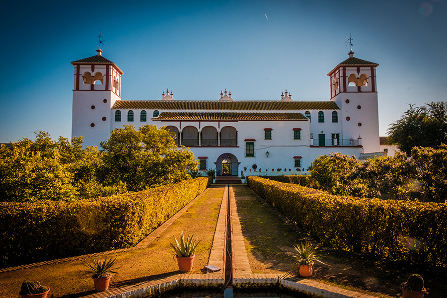 Haciendaguzman historia libro oleo 5090