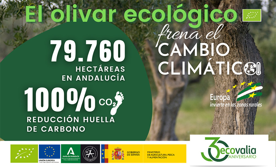 Campana olivar ecologico ecovalia oleo 5070