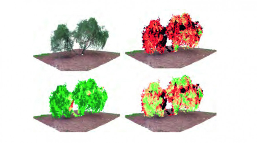 Tesismetodo geometria imagen rgb 2 uja oleo 5058
