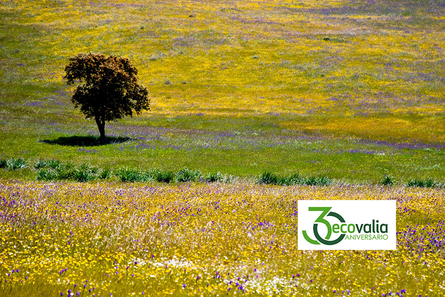 30aniversario ecovalia oleo 5060