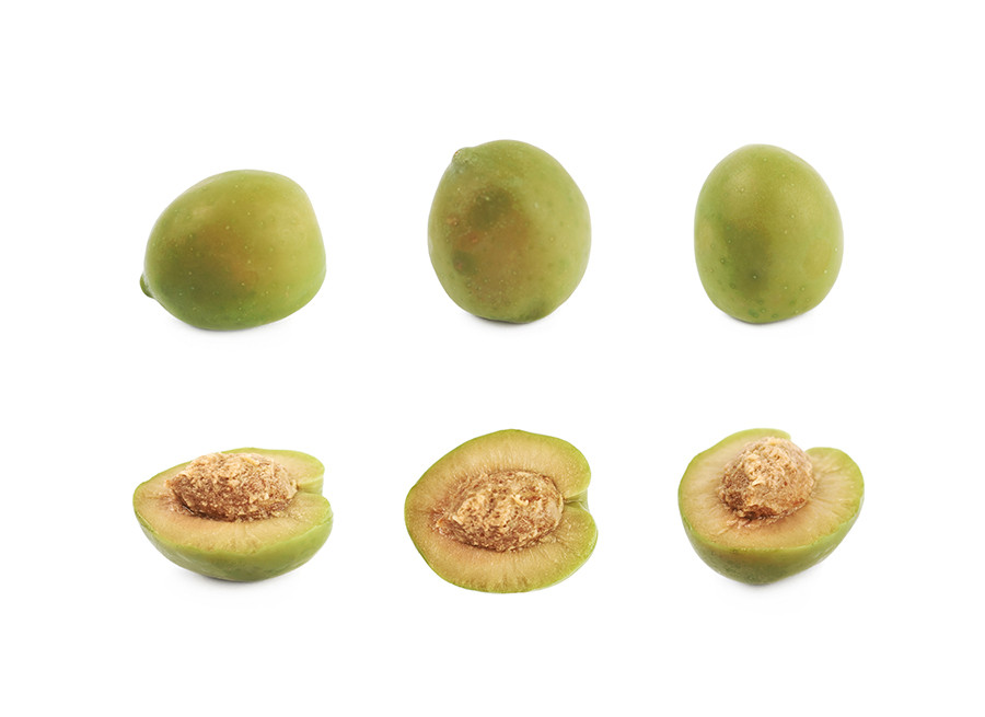 Hueso aceituna uja oleo 5049