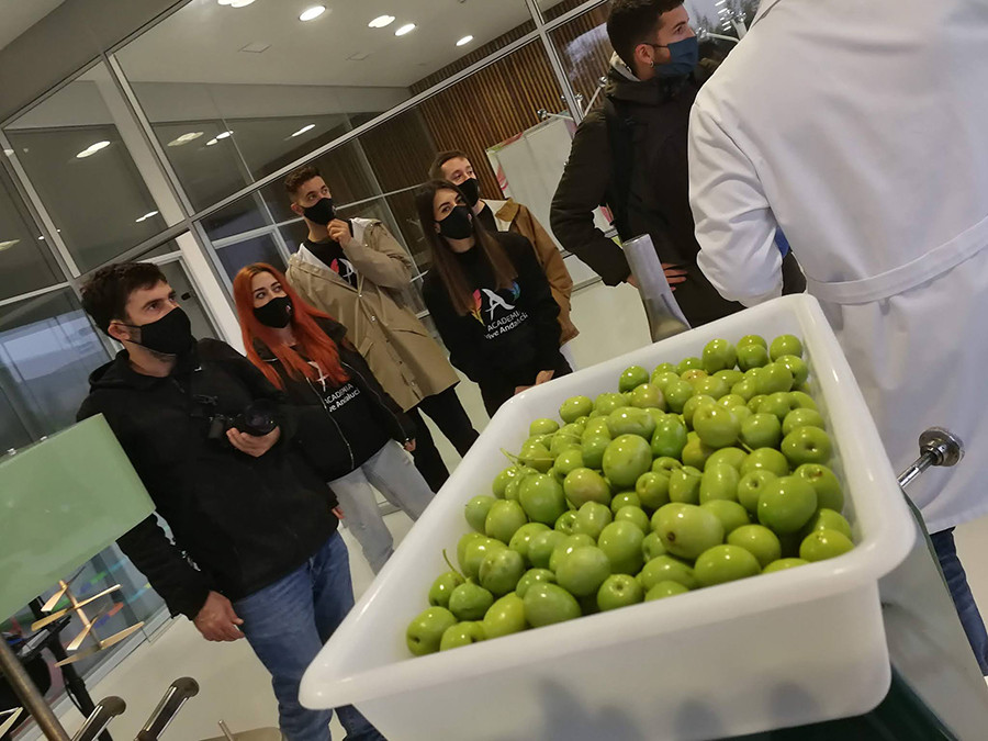 Terraoleum iniciativa andaluciavive oleo 5044