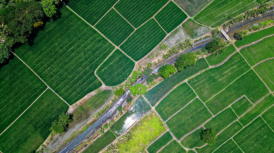 Sudoe ceigram manejo agricolas oleo 5029