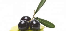 Aceitunas negras aranceles eeuu mercado oleo 5020