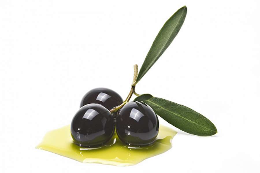 Aceitunas negras aranceles eeuu mercado oleo 5020