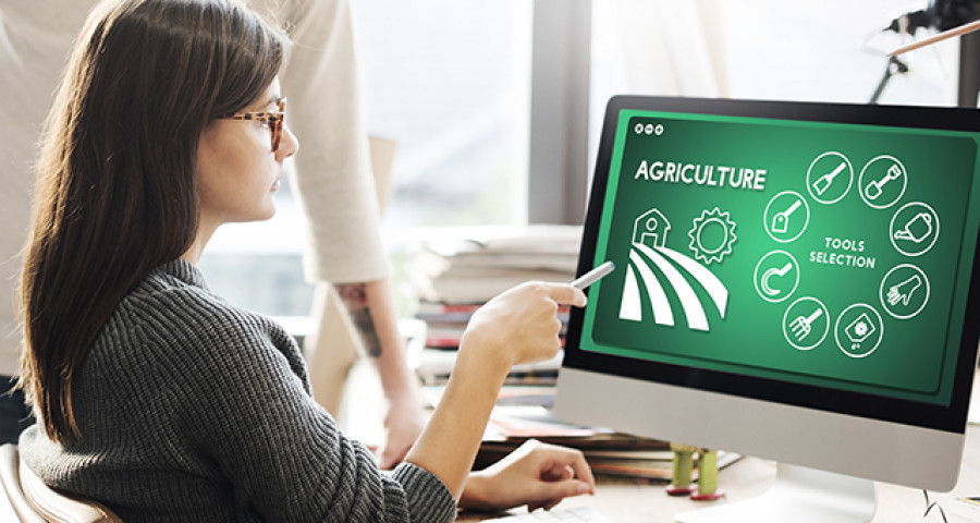 Datagri tranformdigital oleo 5002