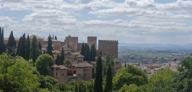 Granada promocio aove premios oleo 4994