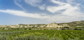 Basilicata igp aove eu oleo 4989