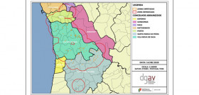 Xylella actualizacion portugal oleo 4969