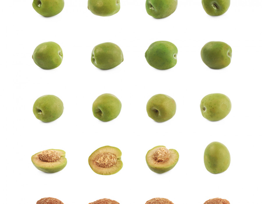 Inteligencia artificial hueso aceituna oleo 4951