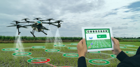 Curso drones agricultura oleo 4959