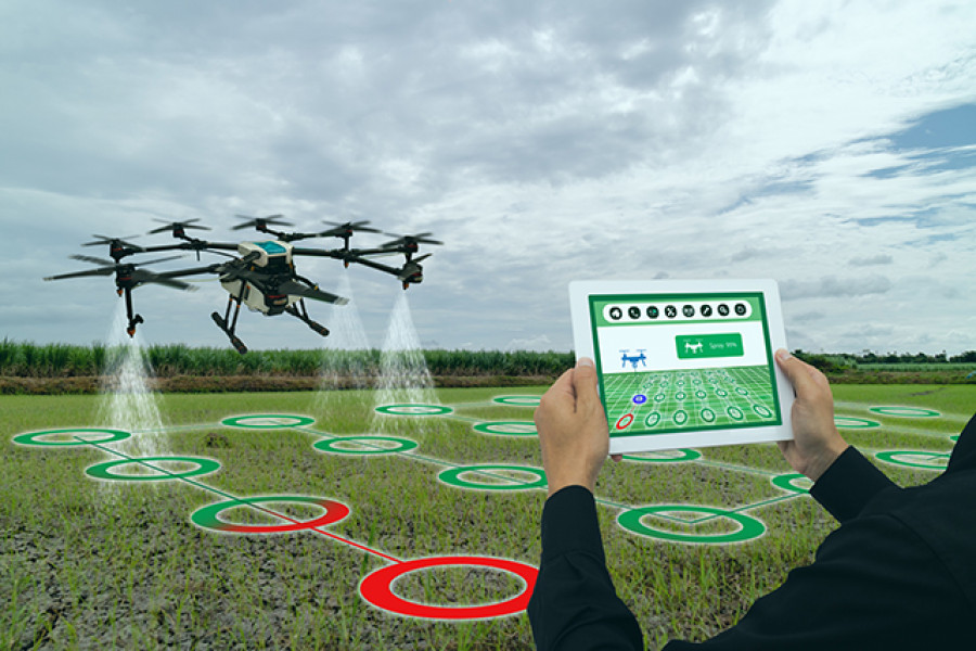 Curso drones agricultura oleo 4959