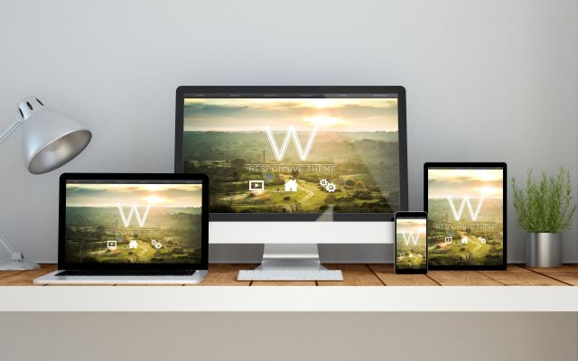 Cooperativas oleicolas eco webs marketing oleo