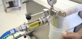 Master oliva aceite uja semipresencial oleo 4948
