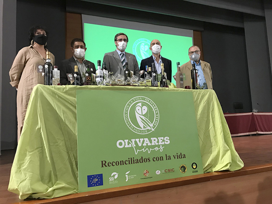Aoves uja olivares vivos oleo