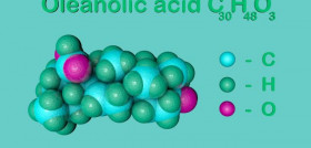Nutraoleum acido  oleanolico covid19 oleo