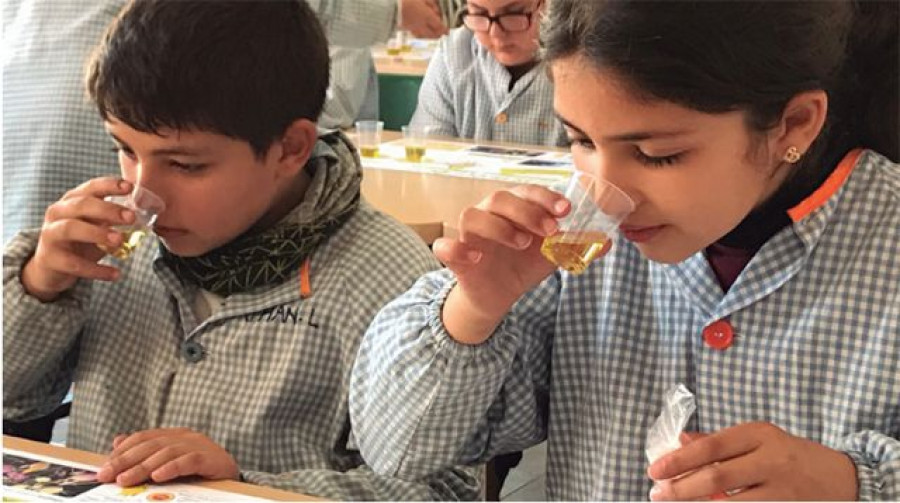 Talleres escolares dopsiurana covid19 oleo