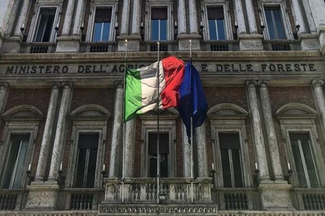 Ministerio agricultura italia ao covid19 oleo