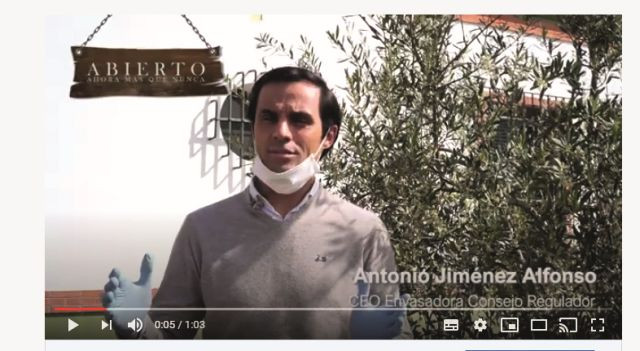 Igp gordal mazanilla sevillana video covid19 oleo
