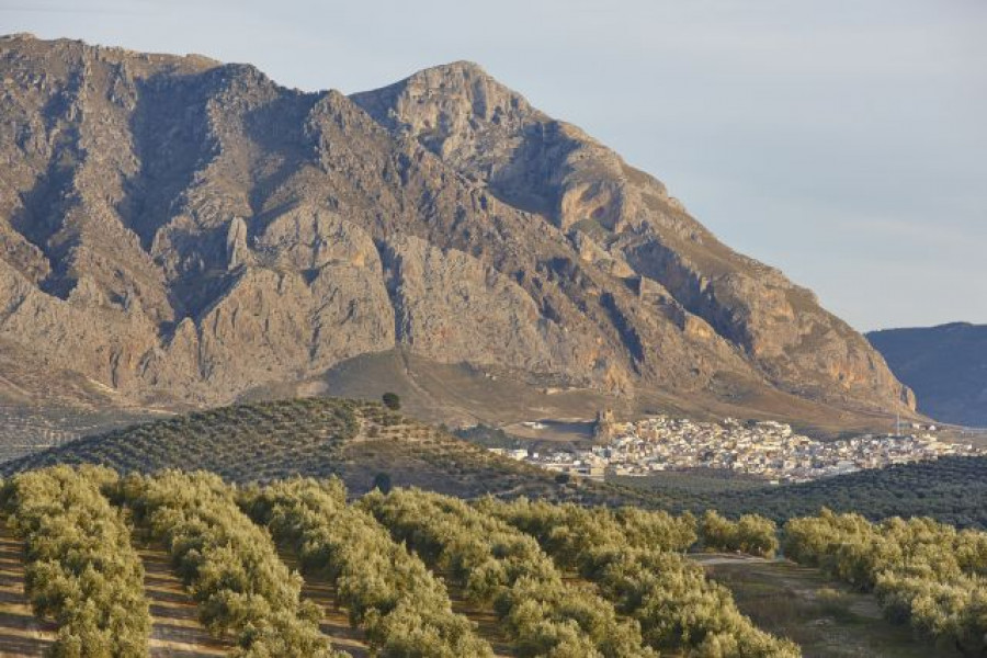 Jaen leader desarrollo rural covid19 oleo