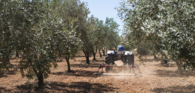 Tractores olivar matriculacion marzo20 oleo