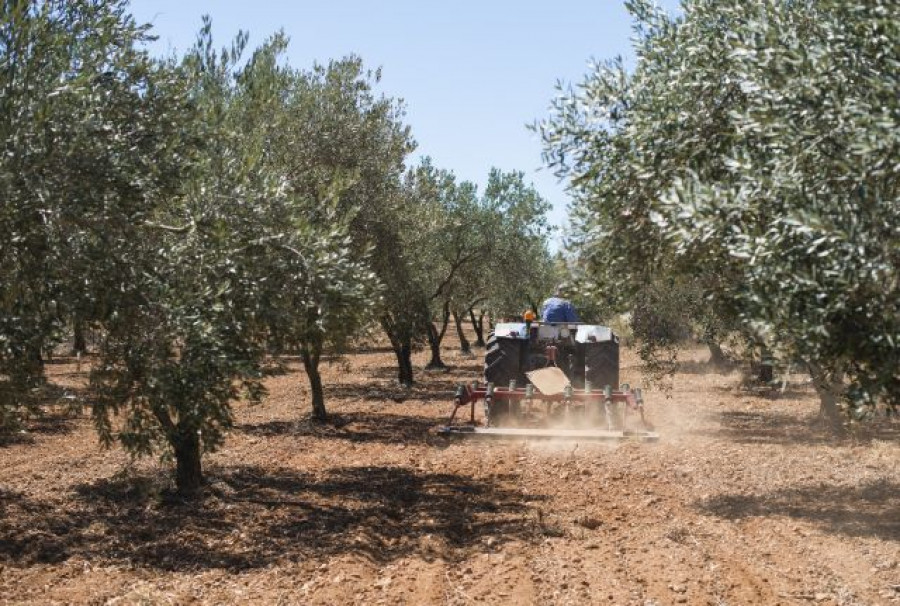 Tractores olivar matriculacion marzo20 oleo