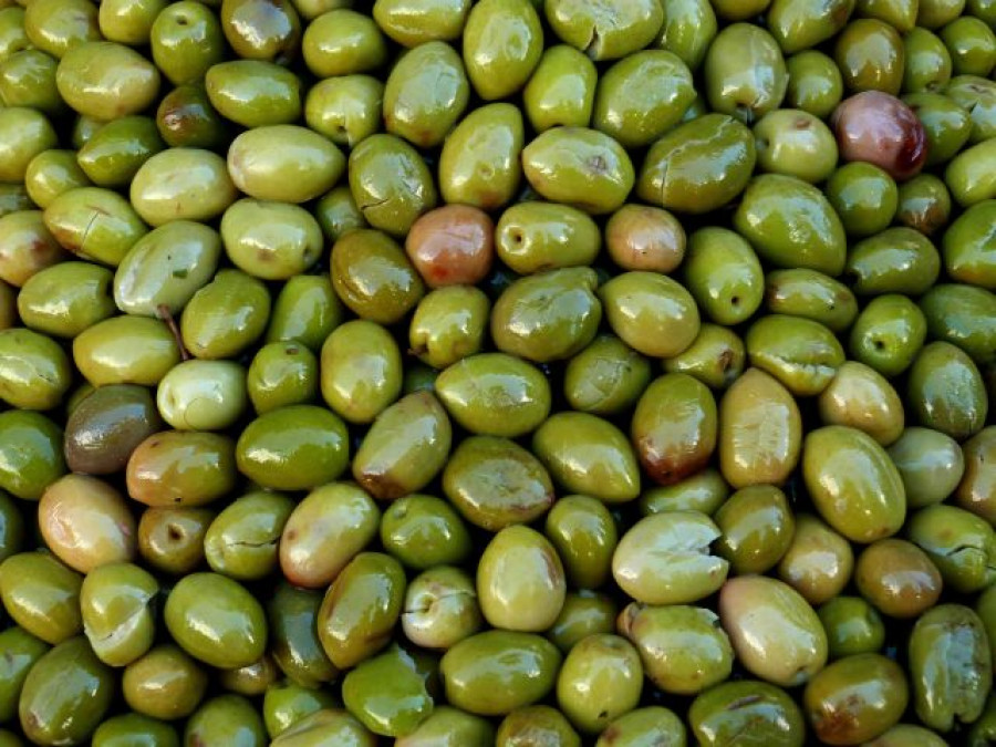 Aceitunas mesa lengua virtual oleo
